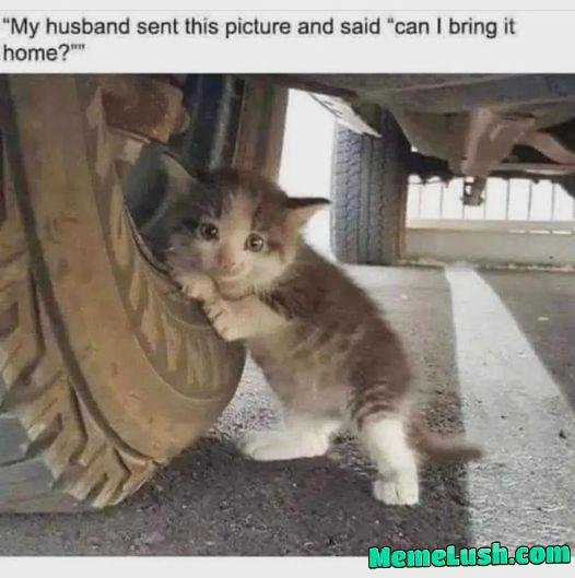 You better. You better.