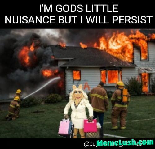 Based Miss Piggy Based Miss Piggy