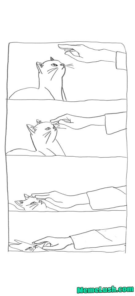 “no”