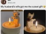 ⊹₊˚‧︵‿₊୨Adorable Kitty Candle Holder ᰔ୧₊‿︵‧˚₊⊹ (Available HERE)