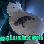 Oh to be a cat sleeping on a giant Snorlax plushie