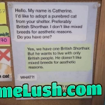 Notice at a shelter