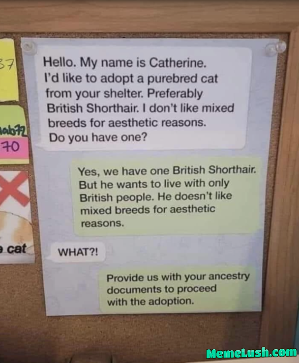 Notice at a shelter
