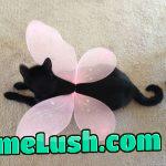 Fairy cats appreciation post