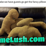 bought them ironically. now i fluff them before guests arrive. (Found these HERE)