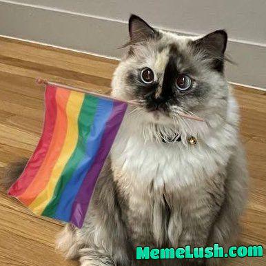 Happy Pride Month Tumblr ✨