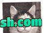 catchymemes: