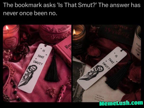 the bookmark when chapter 3 suddenly gets very descriptive:
👁️👄👁️ (GET YOURS HERE)