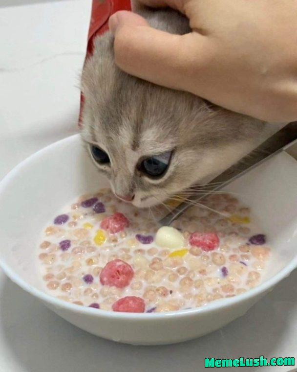 what is this genre of photos called